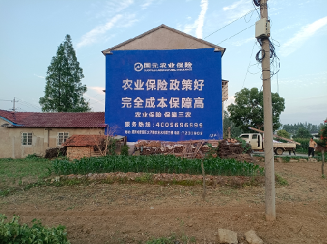 石渠墙体广告为何受追捧？