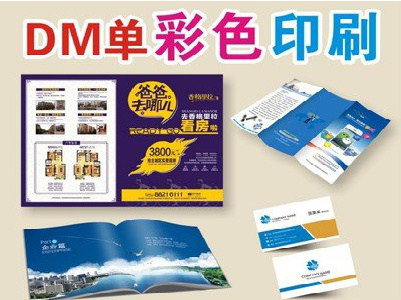 石渠单页印刷,色彩搭配简单。